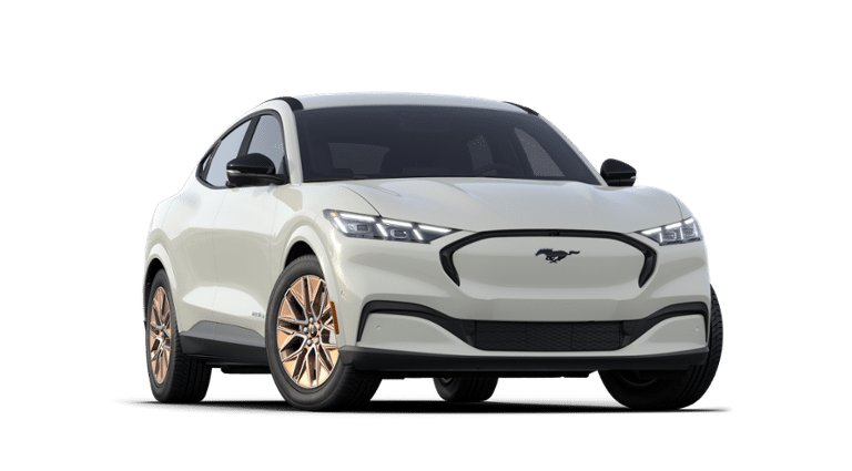 Mustang Mach-E® vehicle